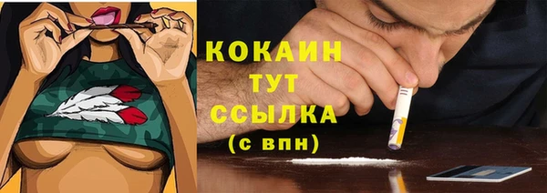 стаф Медногорск