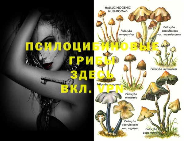 прущие грибы Майский