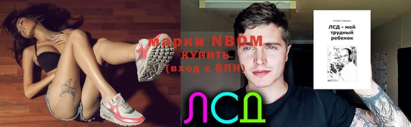 стаф Медногорск
