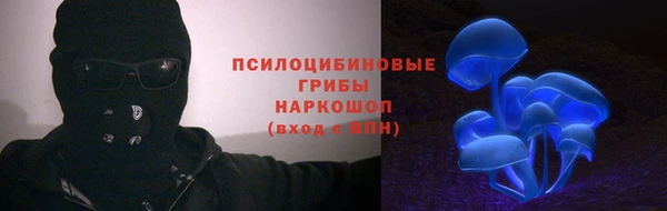 стаф Медногорск